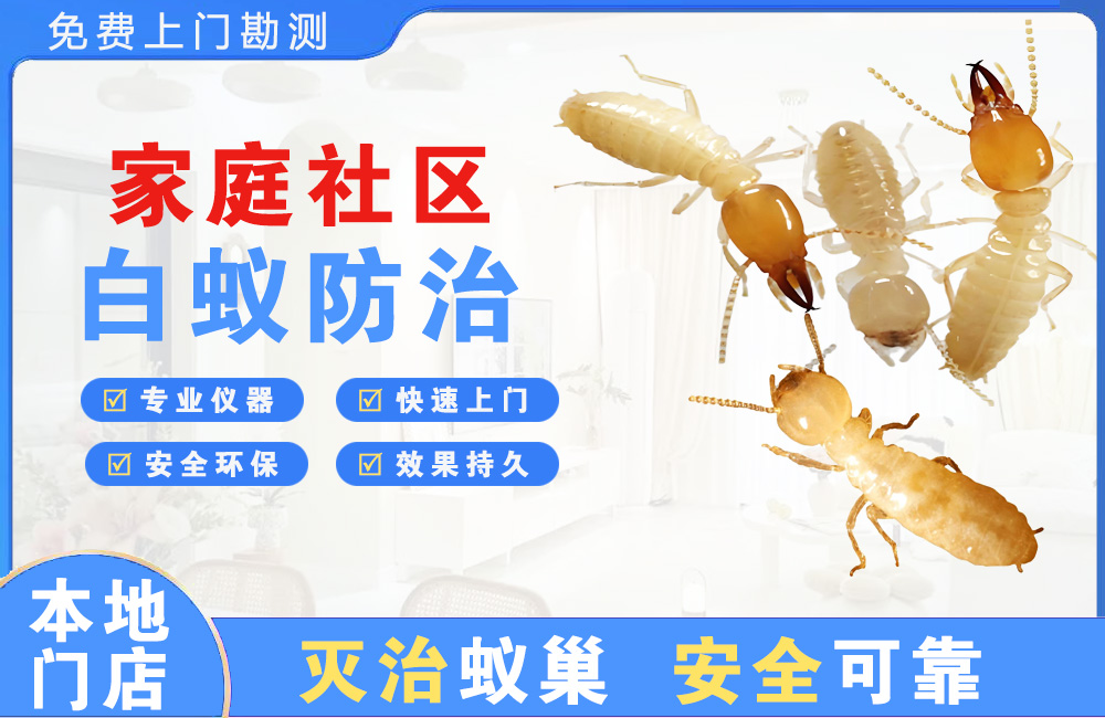 眉山家庭社区白蚁防治