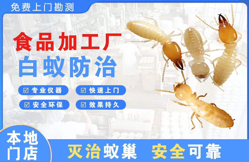 眉山食品加工厂白蚁防治