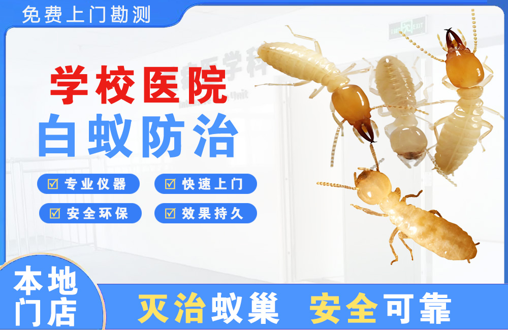 眉山学校医院白蚁防治