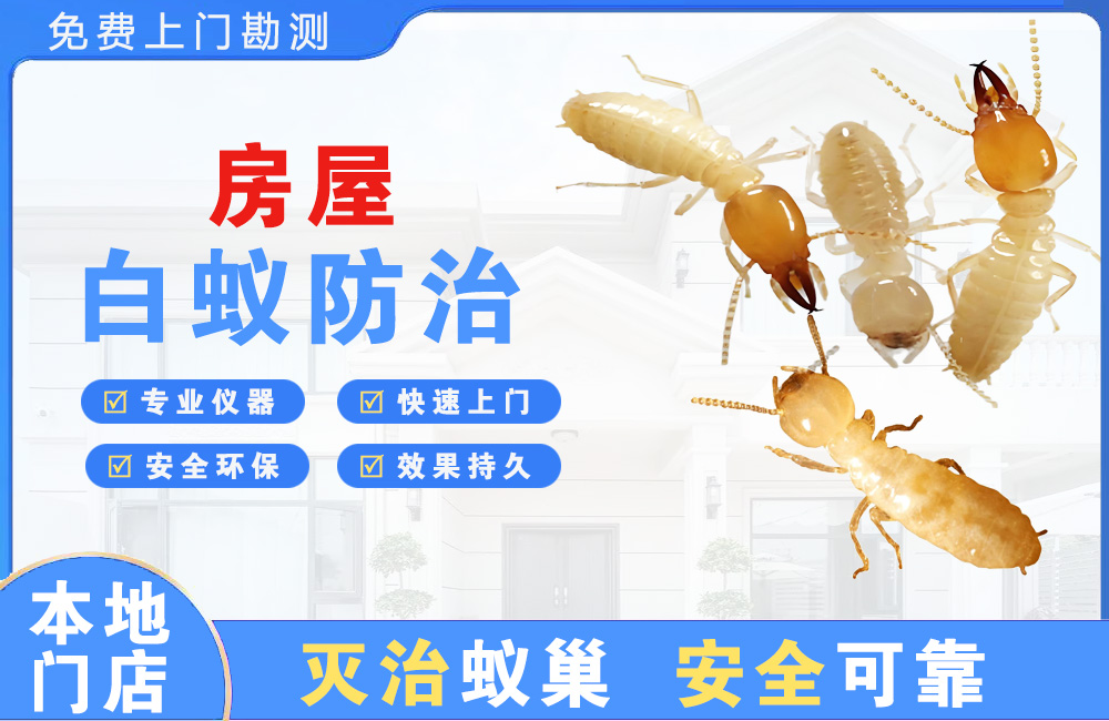 眉山房屋白蚁防治